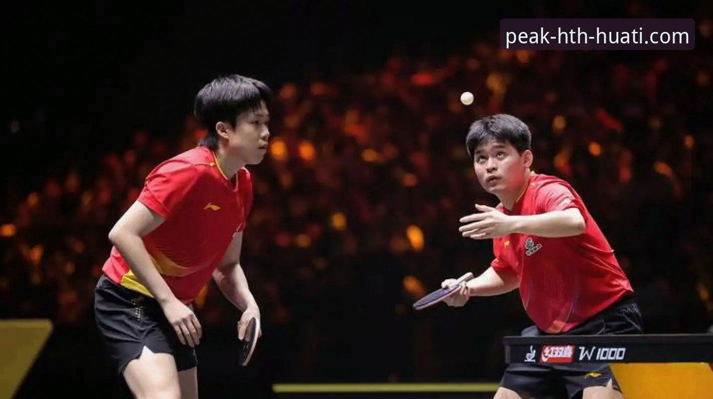 解读国乒男团小组赛3-0英格兰的实战技术要点